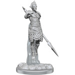 Wizkids D&D Minis: Sea Elf Fighters (W20)