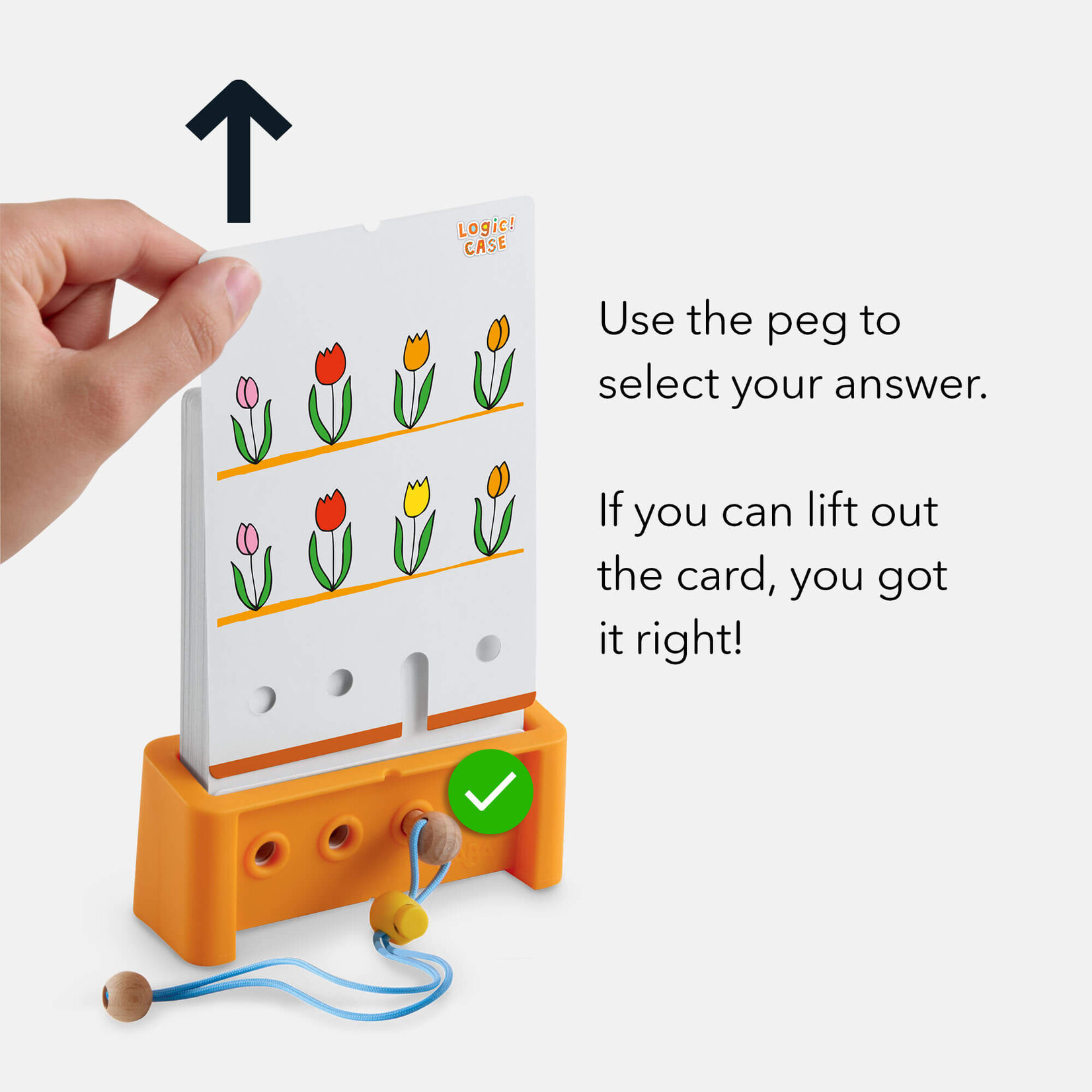 HABA Logic! CASE Extension Set 4+ Animals