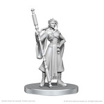 Wizkids Critical Role Minis: Beauregard Lionett & Caleb Widogast (W26)