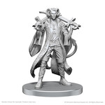 Wizkids Critical Role Minis: Mollymauk Tealeaf & Caduceus Clay (W26)