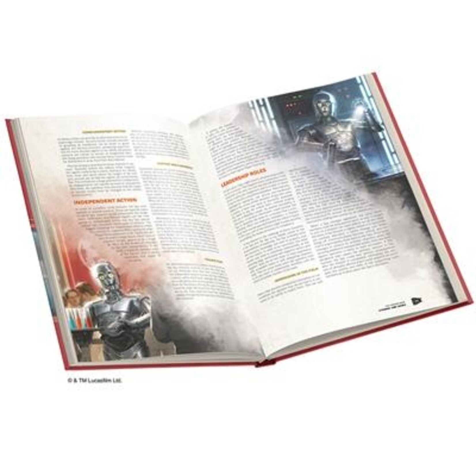 Fantasy Flight Games Star Wars RPG: Age of Rebellion: Cypher and Masks