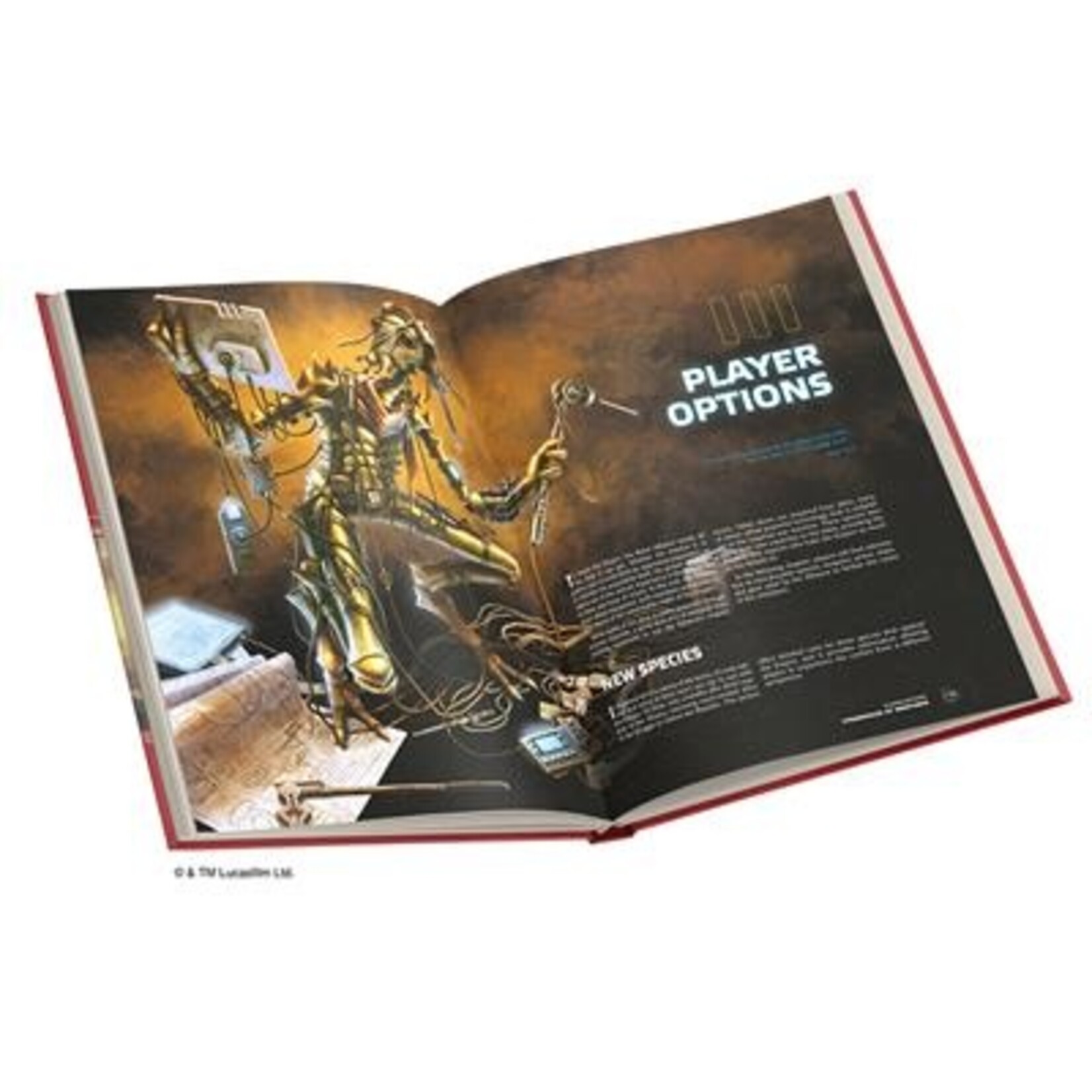 Fantasy Flight Games Star Wars RPG: Age of Rebellion: Strongholds of Resistance