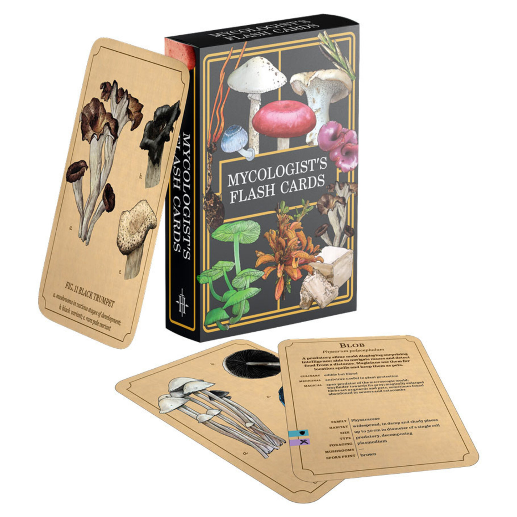 Renegade Games Mycologist's Primer: Flash Cards