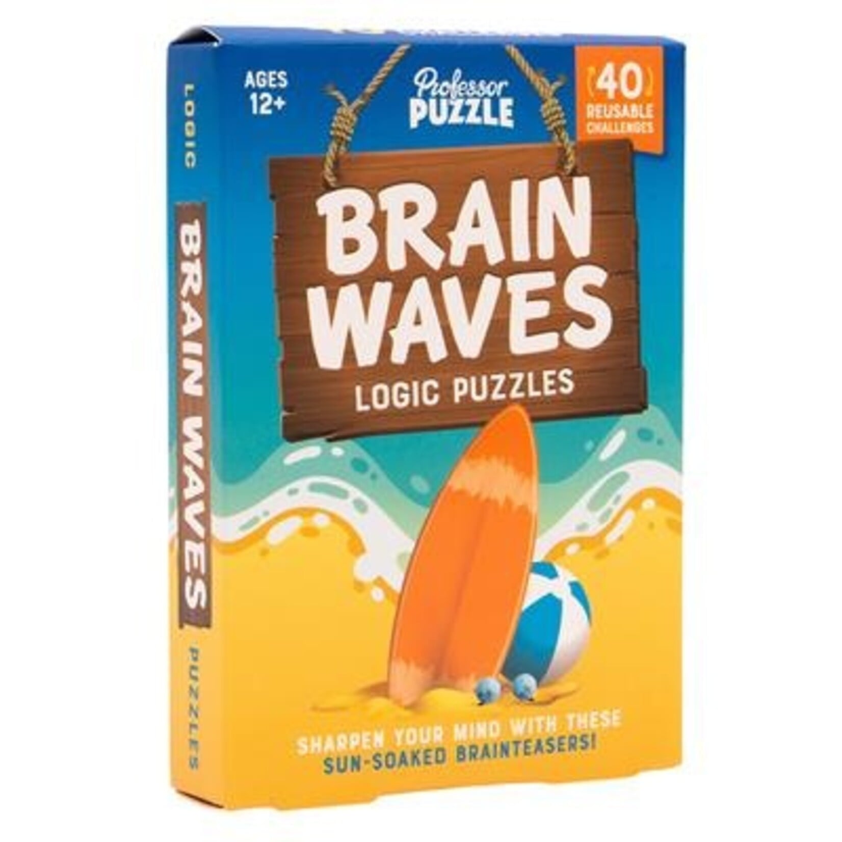 Professor Puzzle Brain Waves