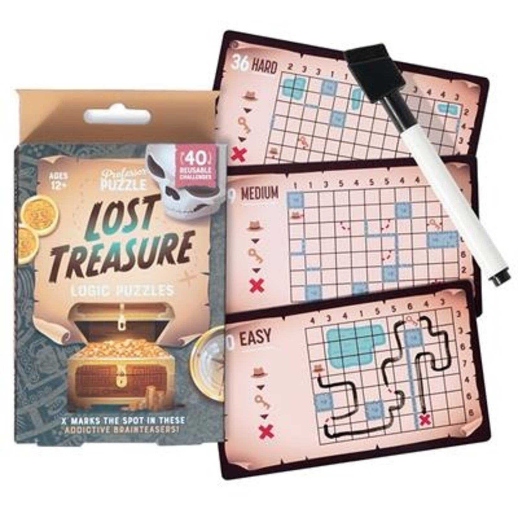 Professor Puzzle Lost Treasure