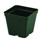 4" SQUARE PLANT POT/GREEN