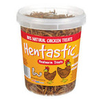 Hentastic 6oz Mealworm Chicken Treat Hentastic