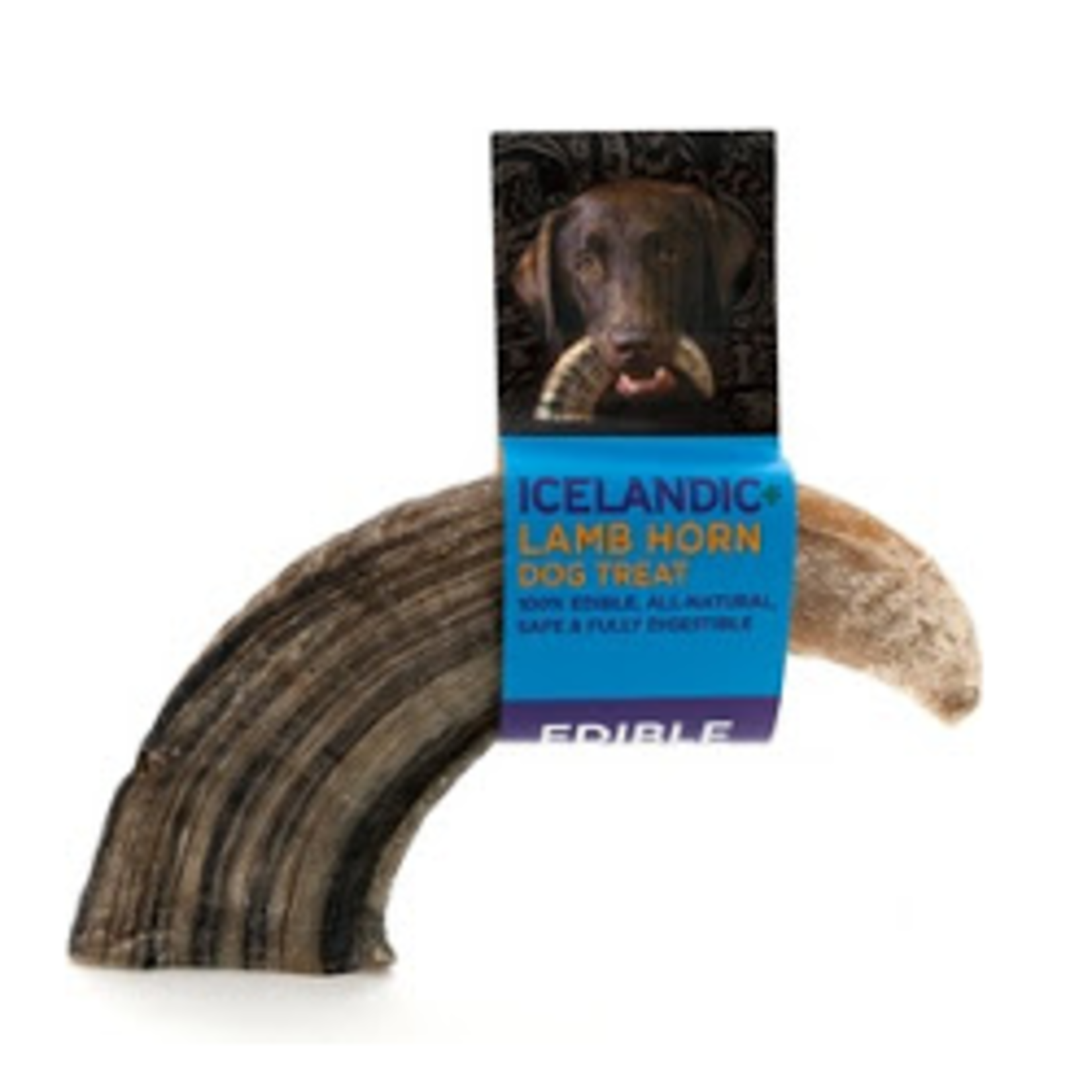 Icelandic Large Lamb Horn Icelandic Dog Treat