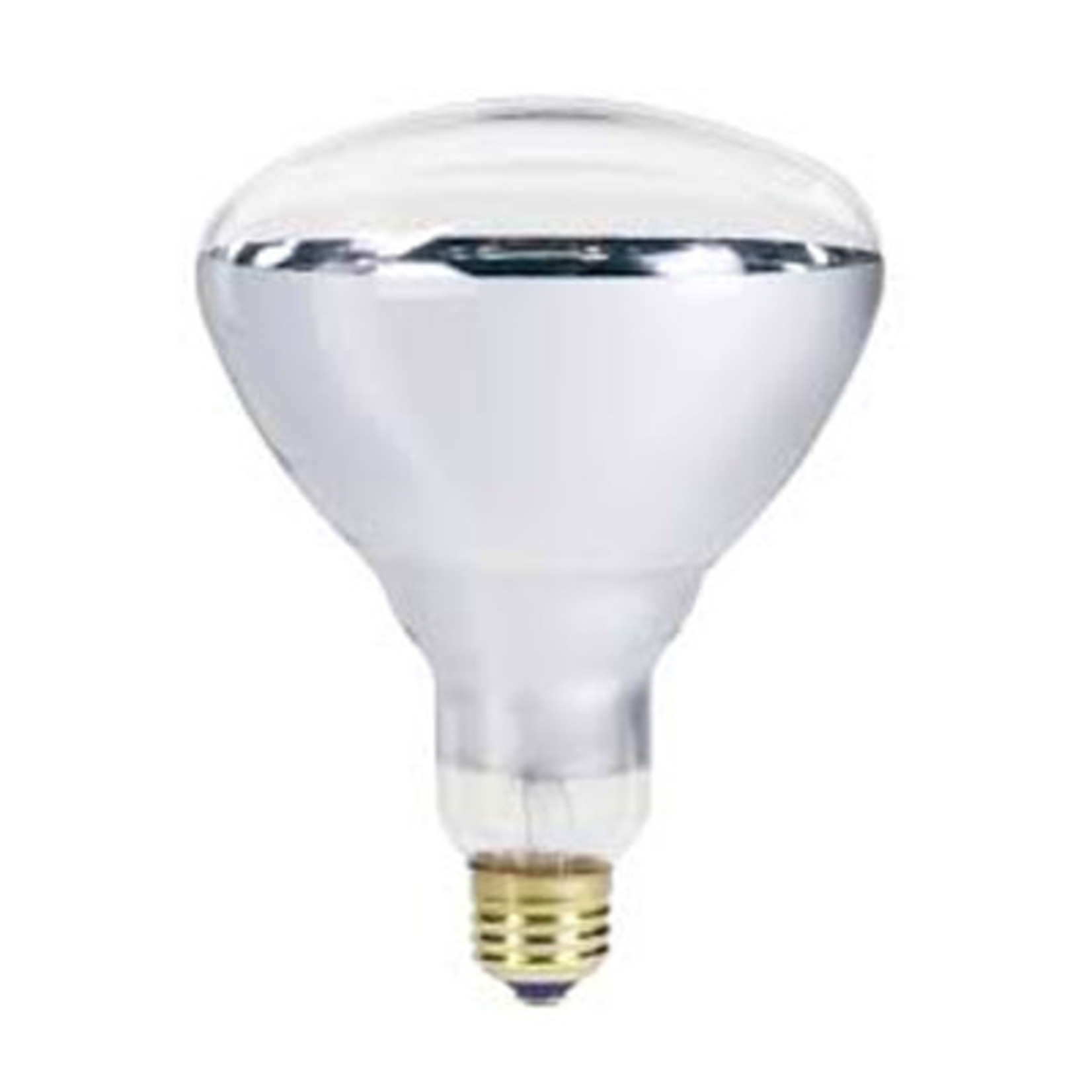 Feit Electric Clear Bulb 250W/#5698