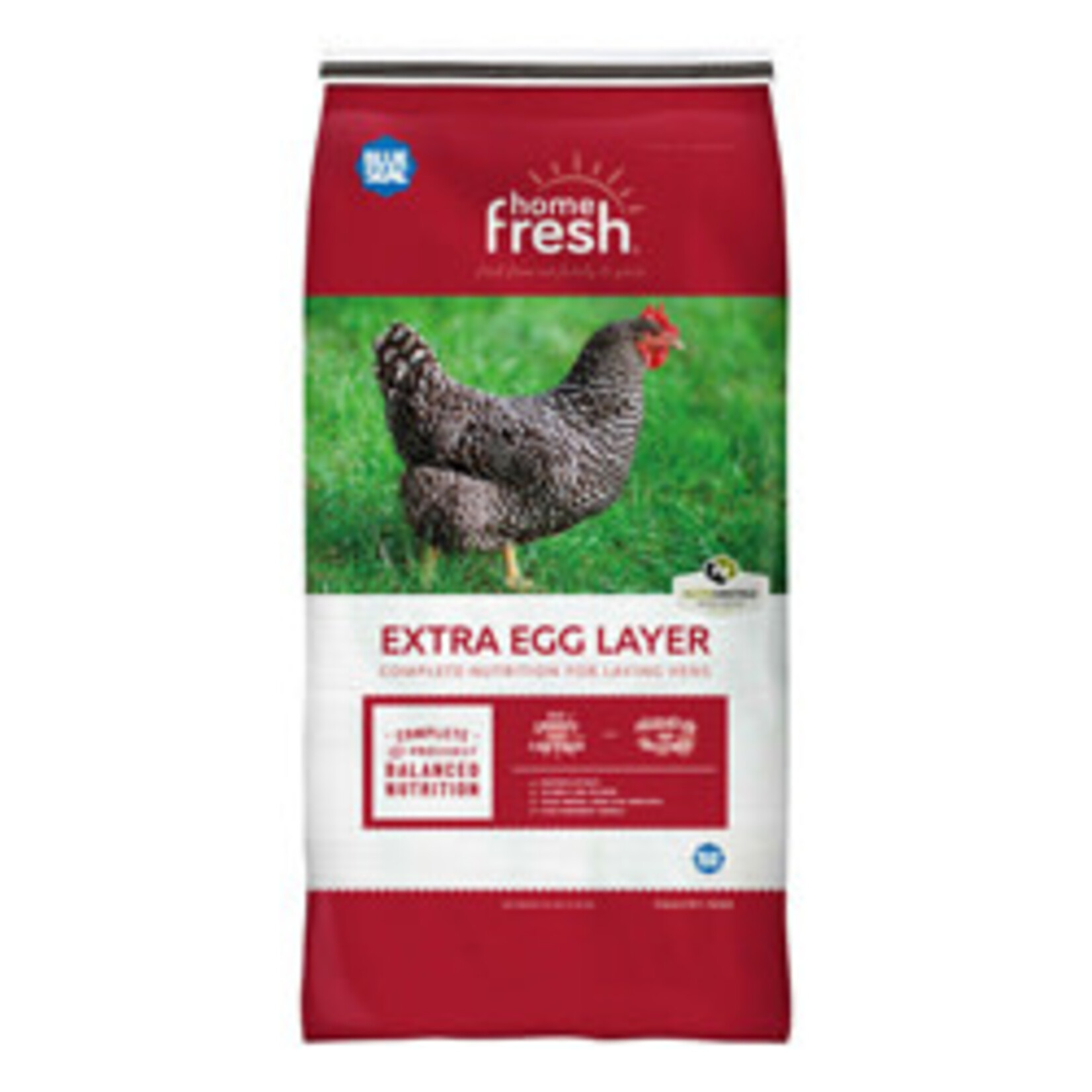 Blue Seal-Poultry Blue Seal Home Fresh Extra Egg Layer