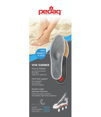 Pedag Viva Summer (183)