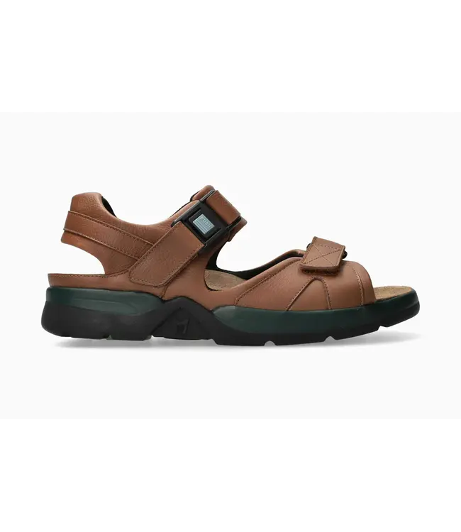 Mephisto Shark