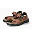 Mephisto Shark