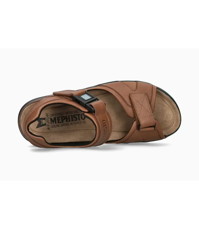 Mephisto Shark