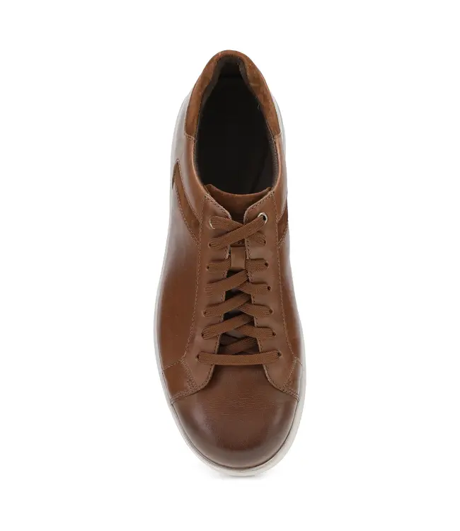 Dansko Trevor