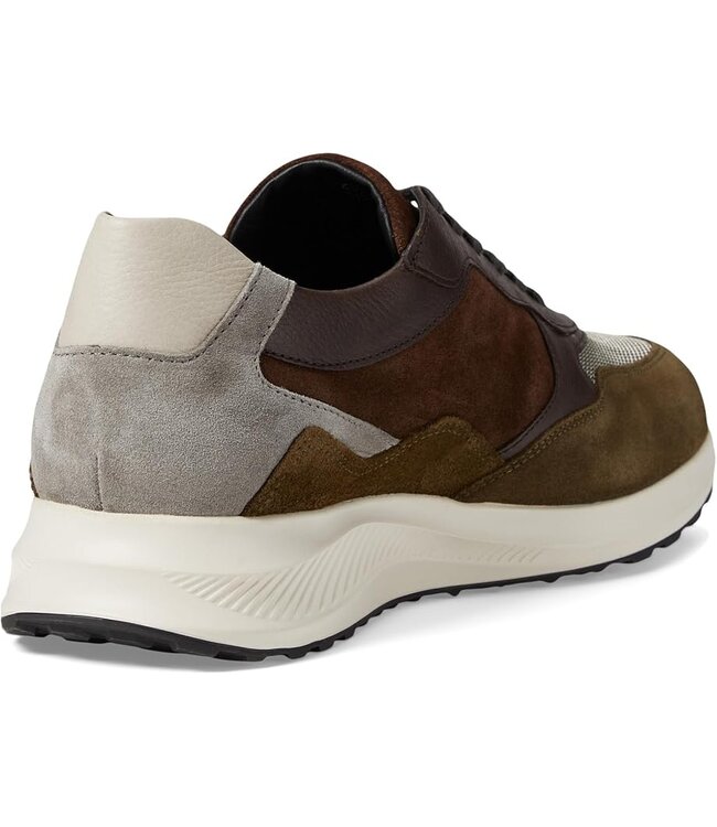 Mephisto Driss