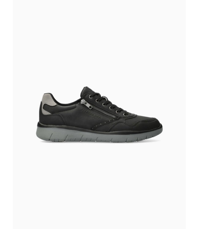Allrounder Majestro 2