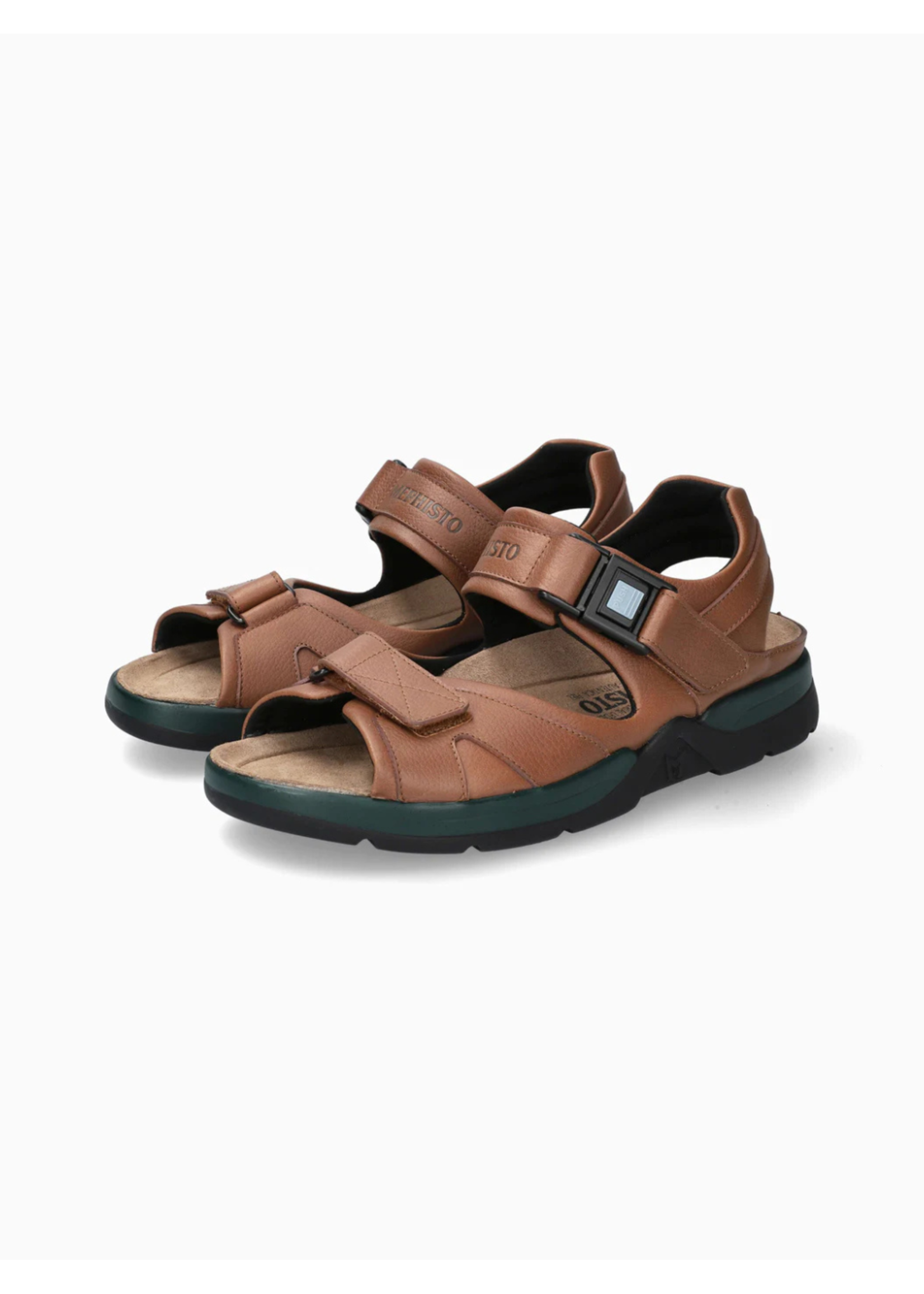 Mephisto Shark