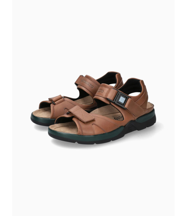 Mephisto Shark
