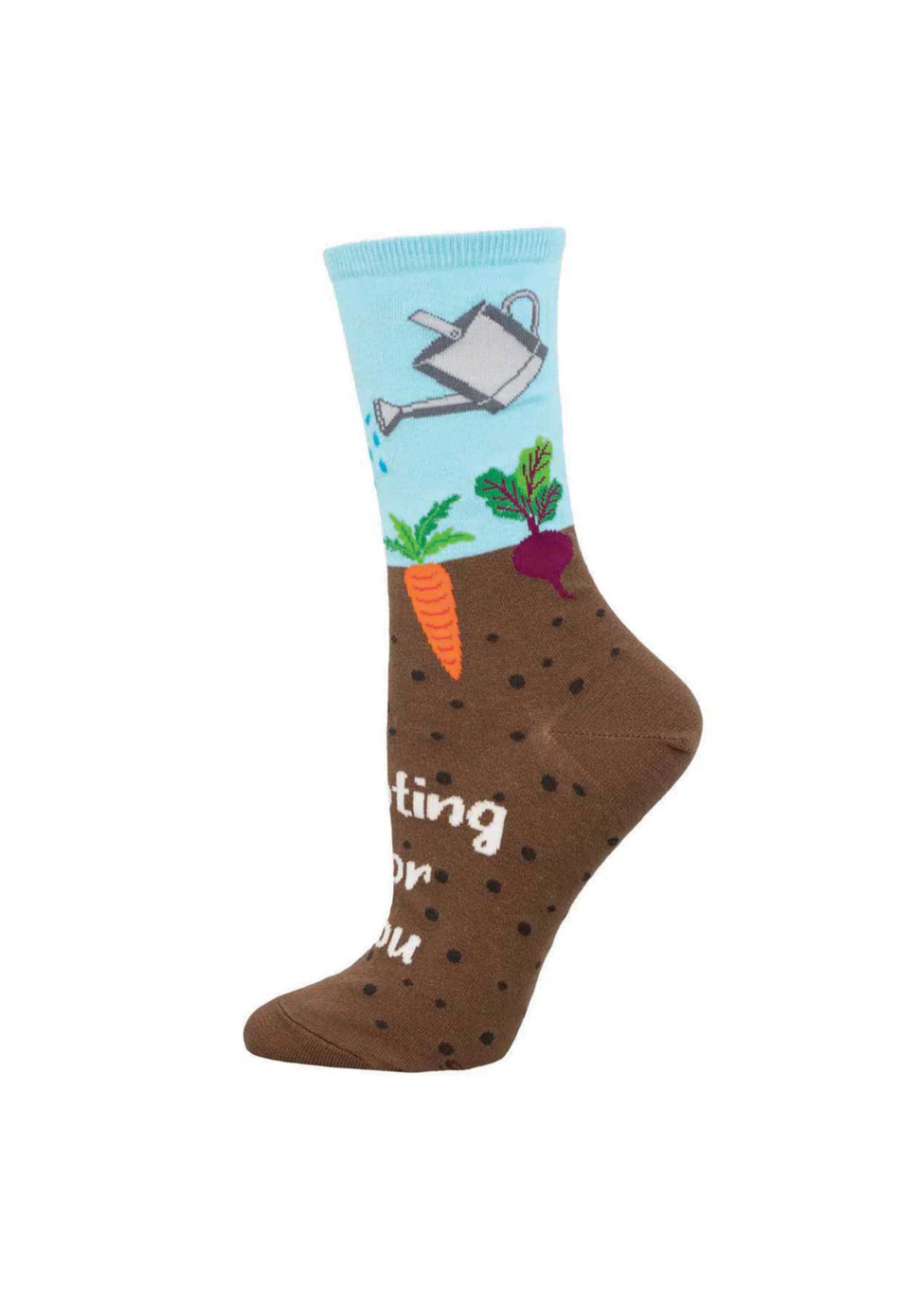 Socksmith Rooting For You WNC3405