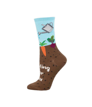 Socksmith Rooting For You WNC3405