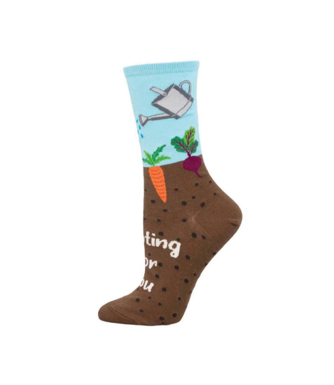 Socksmith Rooting For You WNC3405