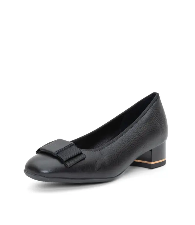 Ara Garnet Pump