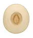 San Diego Hat Nori Women's Wide Brim Rancher PBL3218