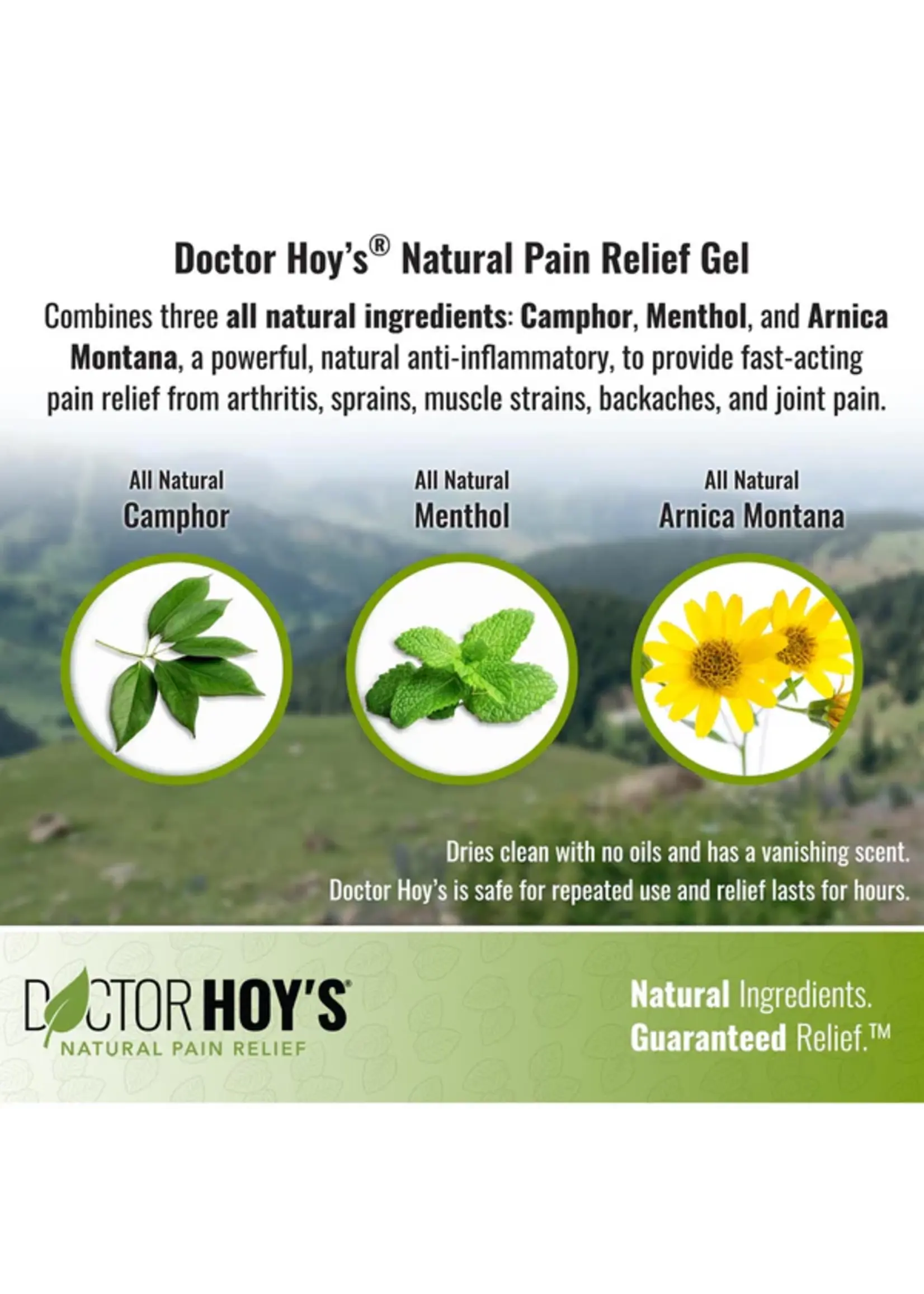 Doctor Hoy's Fast Acting Pain Relief Gel 3oz