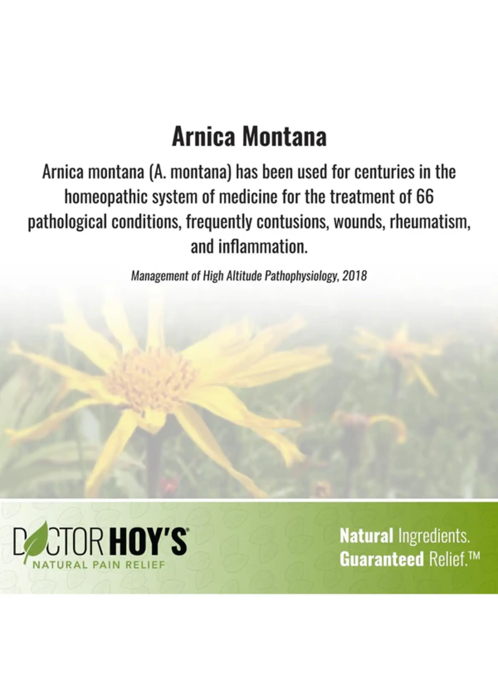 Doctor Hoy's Fast Acting Pain Relief Gel 3oz