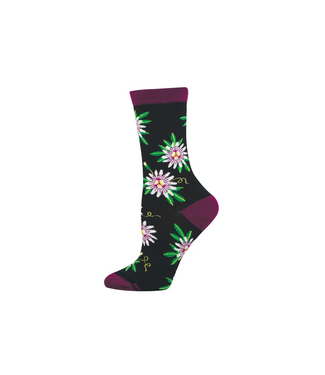 Socksmith Passionfruit Flower WBN3698