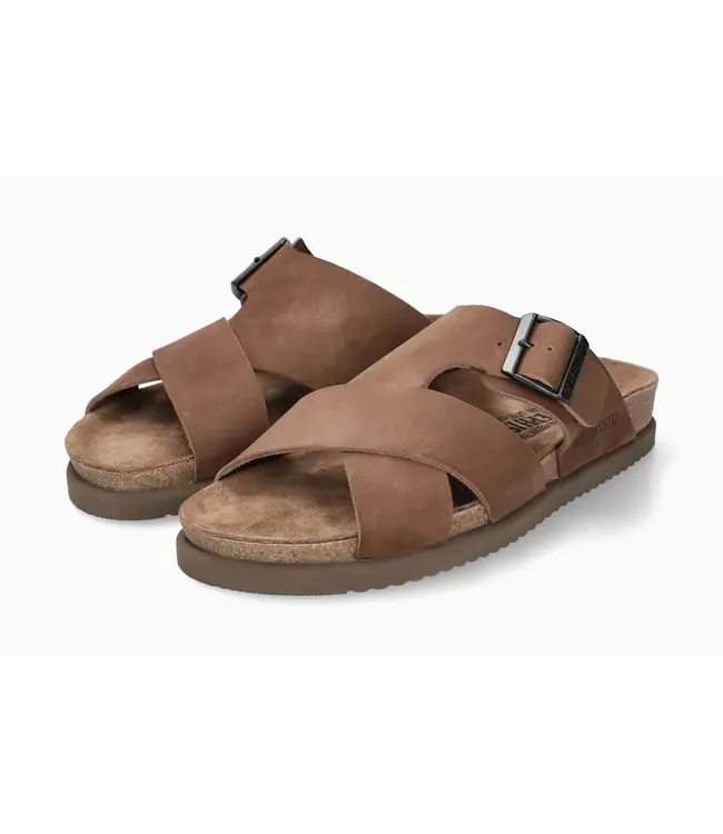 Mephisto Nordine