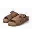 Mephisto Nordine