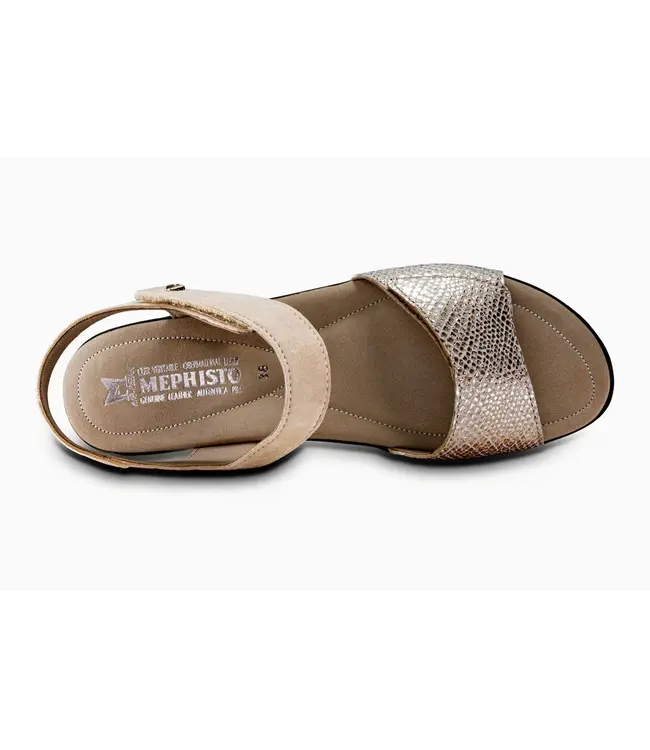 Mephisto Pattie