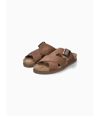Mephisto Nordine