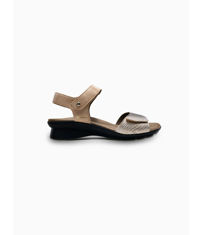 Mephisto Pattie