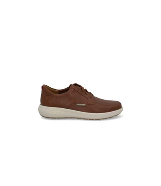 Mephisto Joris
