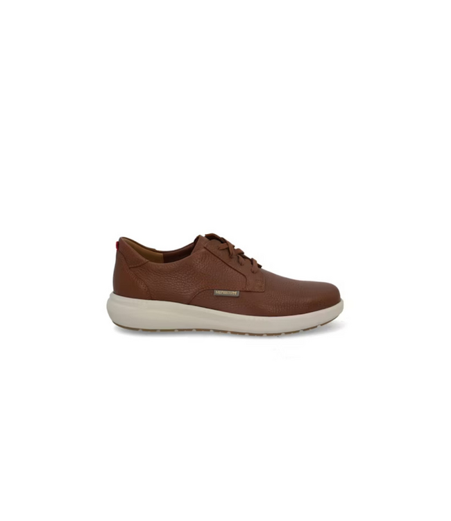 Mephisto Joris