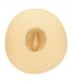 San Diego Hat Luma - Extra Wide Brim Sun Hat UBLX127 Boardwalk