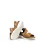 Fluchos Leza F2137