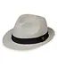 Wallaroo Hat Company Mens Charlie Trilby Hat