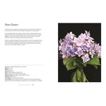 Hydrangeas: Beautiful Varieties For Home & Garden By Naomi Slade