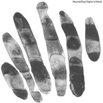 Hound Dog Taylor - Hound Dog Taylor's Hand