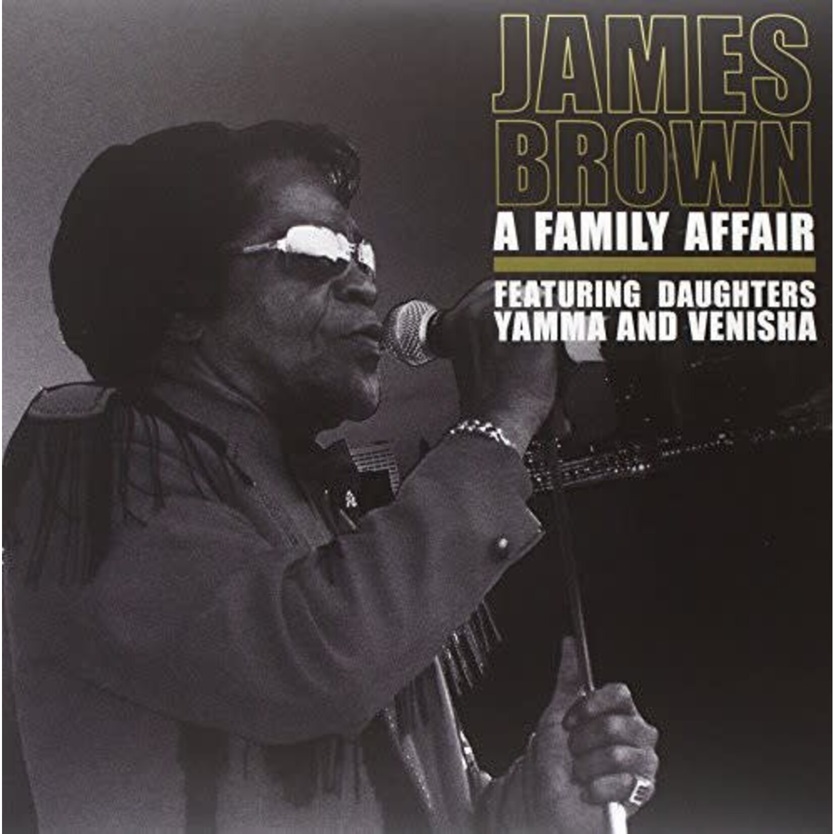 James Brown -  A Family Affair