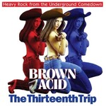 Brown Acid - The Thirteenth Trip