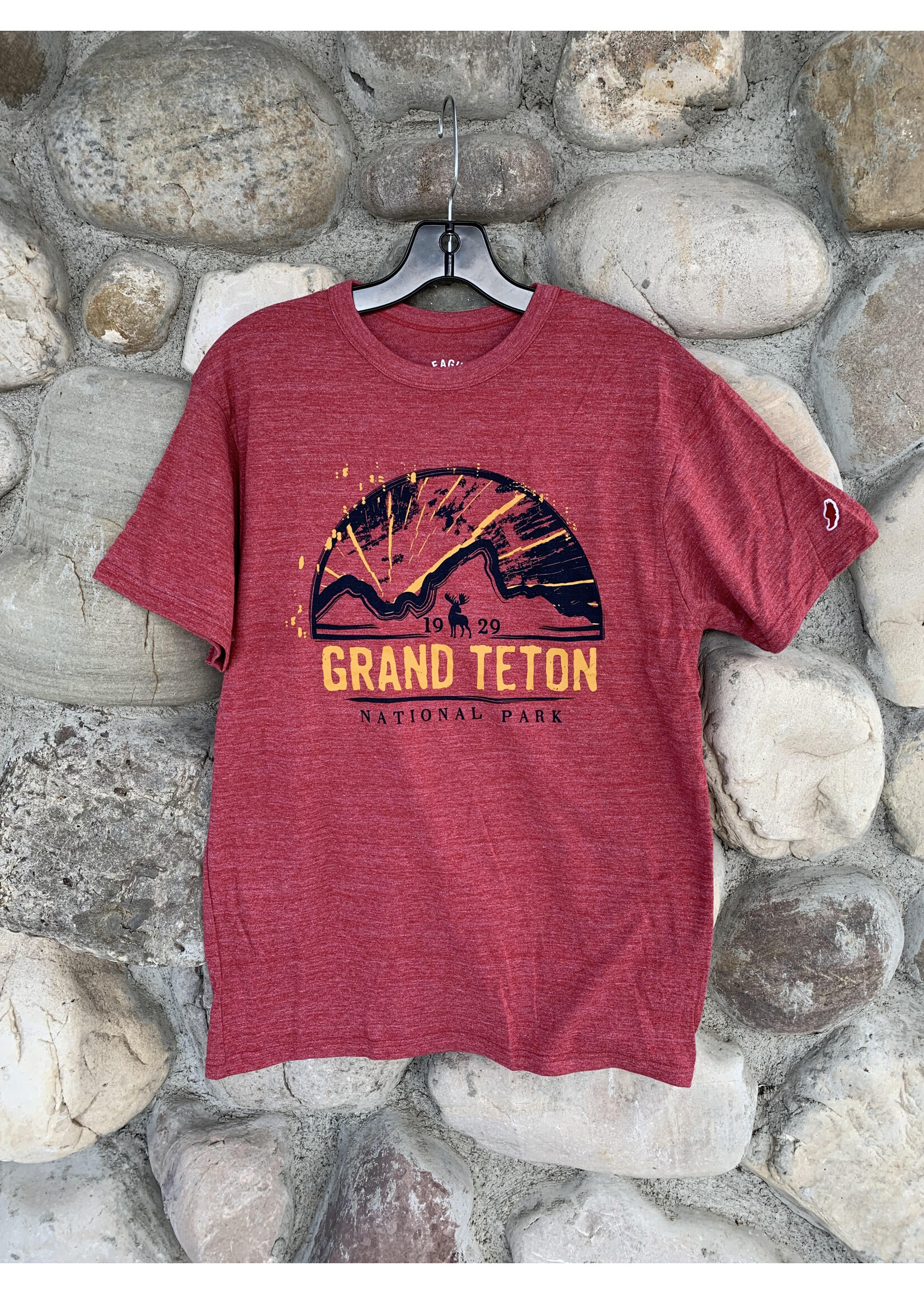 Radial Tetons Tshirt