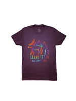 Grand Teton Tie Dye Moose Tshirt