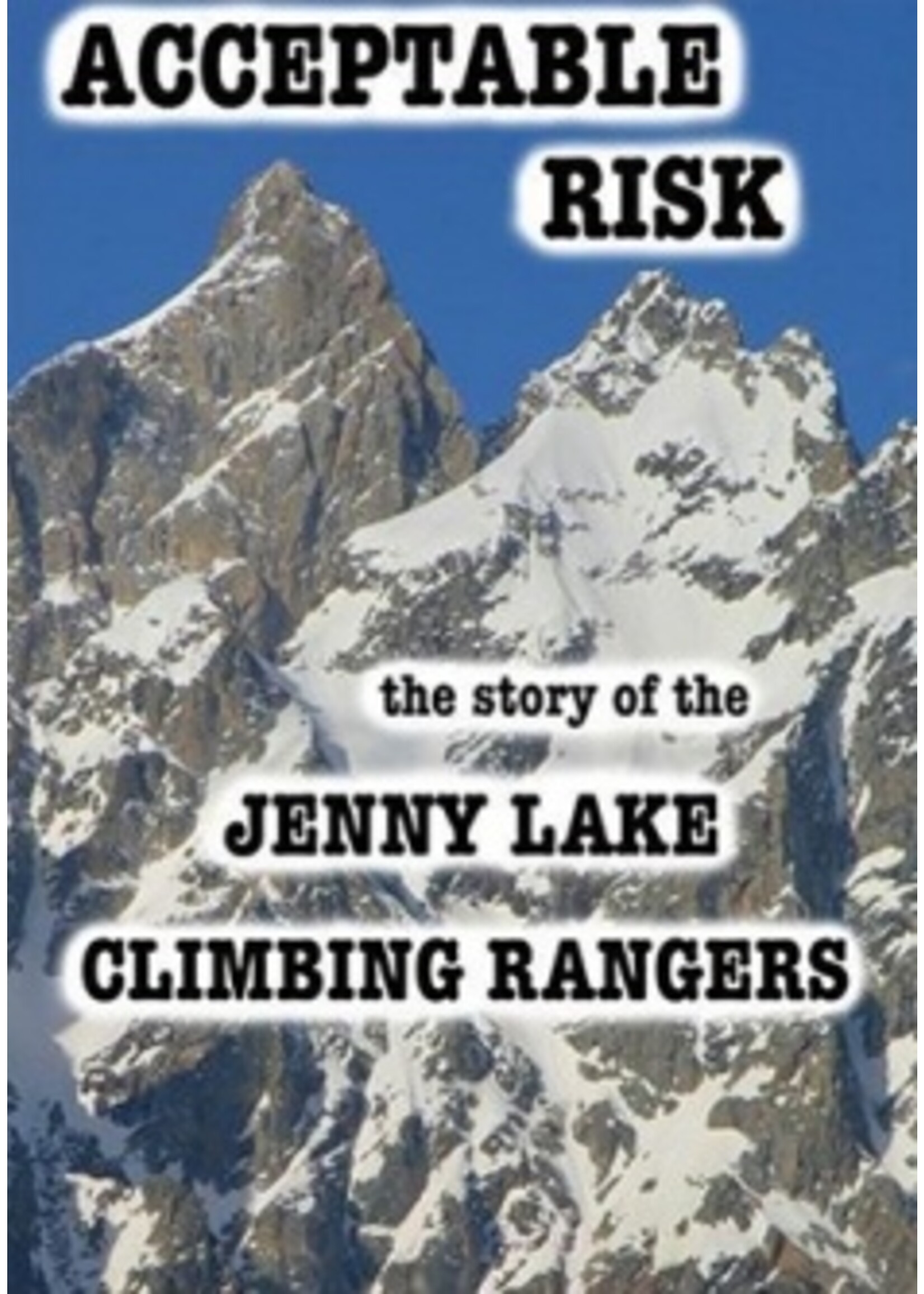 Acceptable Risk DVD