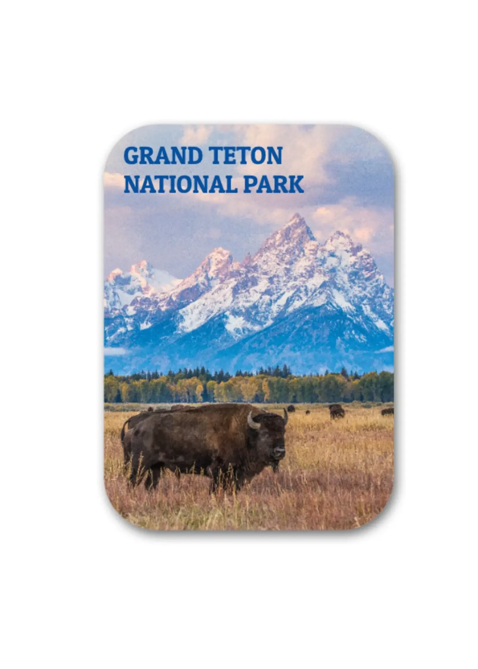 GTNP Autumn Bison Magnet