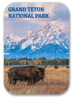 GTNP Autumn Bison Magnet